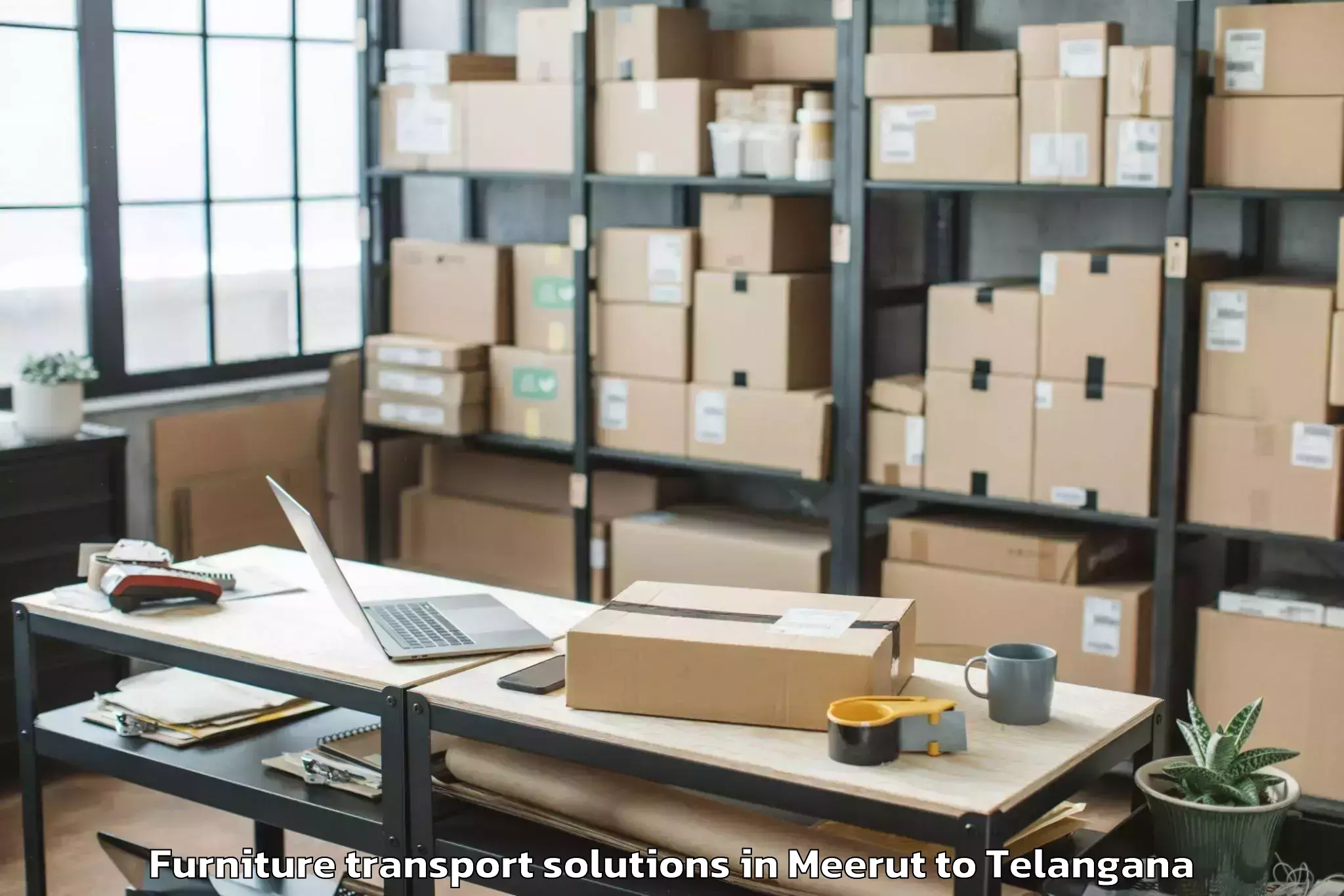 Meerut to Nellikuduru Furniture Transport Solutions